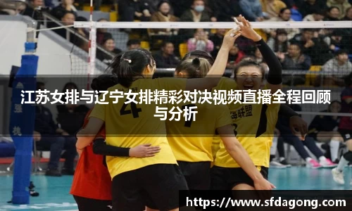 江苏女排与辽宁女排精彩对决视频直播全程回顾与分析