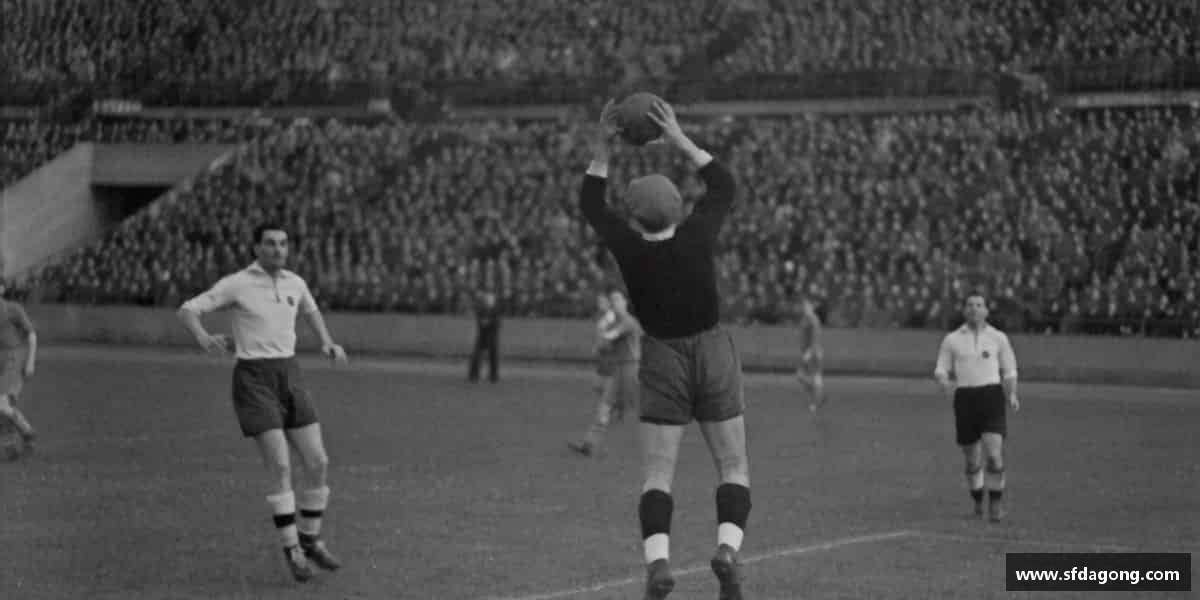 emc易倍体育全力拼搏，成就辉煌人生。